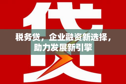 安龙税务贷，企业融资新选择，助力发展新引擎