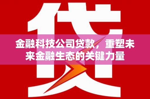 安龙金融科技公司贷款，重塑未来金融生态的关键力量