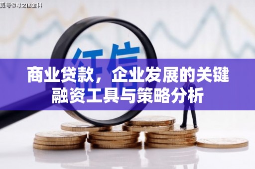 安龙商业贷款，企业发展的关键融资工具与策略分析