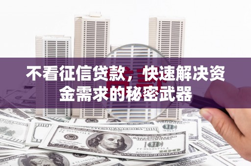 安龙不看征信贷款，快速解决资金需求的秘密武器