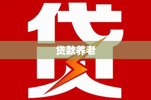 安龙贷款养老