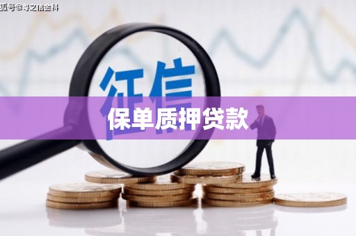 安龙保单质押贷款