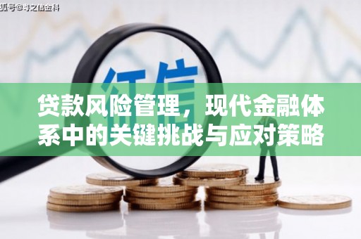 安龙贷款风险管理，现代金融体系中的关键挑战与应对策略