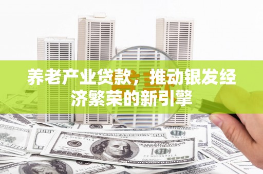 安龙养老产业贷款，推动银发经济繁荣的新引擎