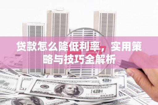 安龙贷款怎么降低利率，实用策略与技巧全解析