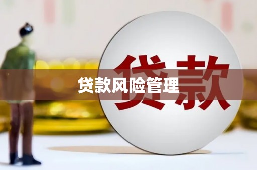 安龙贷款风险管理
