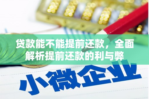 安龙贷款能不能提前还款，全面解析提前还款的利与弊