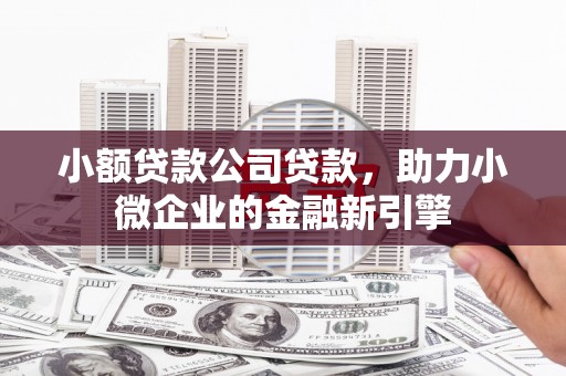 安龙小额贷款公司贷款，助力小微企业的金融新引擎