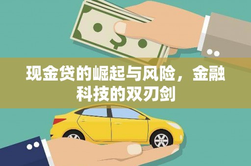 安龙现金贷的崛起与风险，金融科技的双刃剑