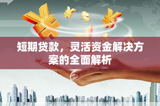 安龙短期贷款，灵活资金解决方案的全面解析