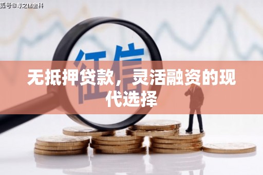 安龙无抵押贷款，灵活融资的现代选择