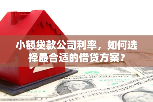 安龙小额贷款公司利率，如何选择最合适的借贷方案？
