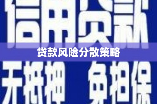 安龙贷款风险分散策略