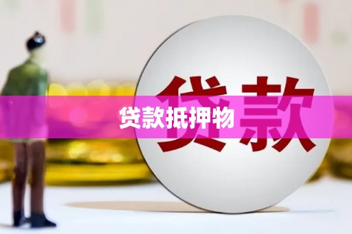 安龙贷款抵押物