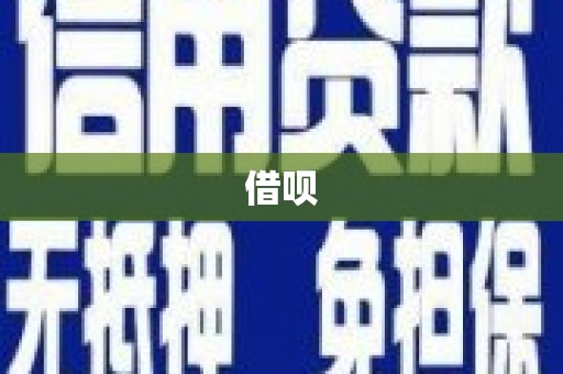 安龙借呗