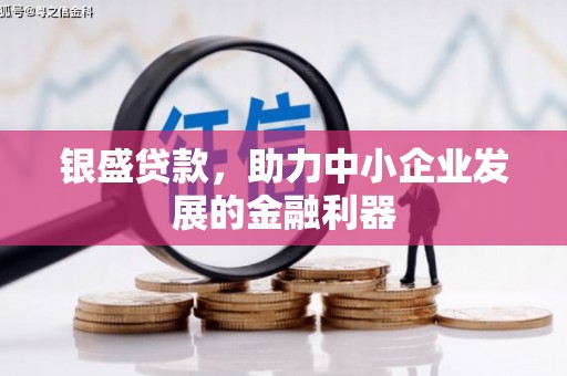 安龙银盛贷款，助力中小企业发展的金融利器