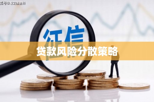 安龙贷款风险分散策略