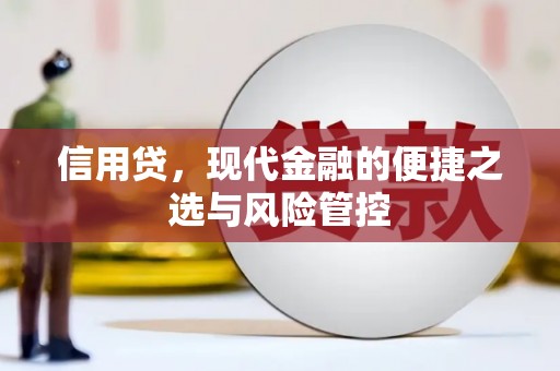 安龙信用贷，现代金融的便捷之选与风险管控