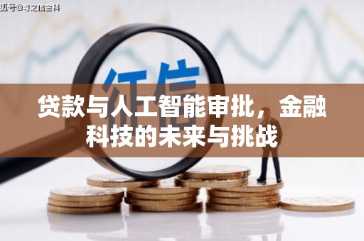 安龙贷款与人工智能审批，金融科技的未来与挑战