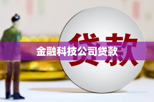 安龙金融科技公司贷款