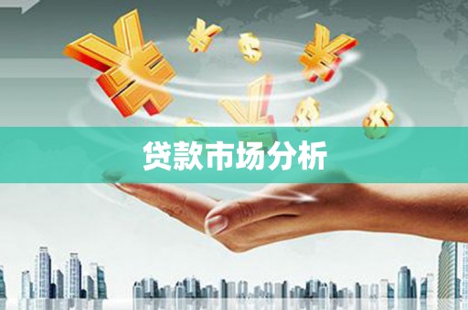安龙贷款市场分析