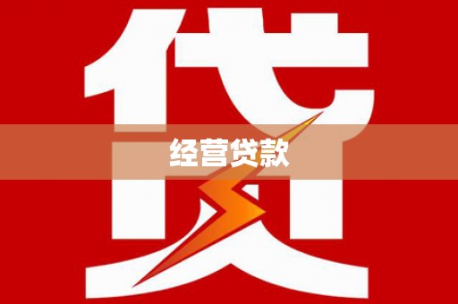 安龙经营贷款