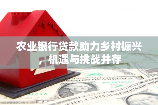 安龙农业银行贷款助力乡村振兴，机遇与挑战并存