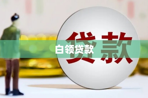 安龙白领贷款