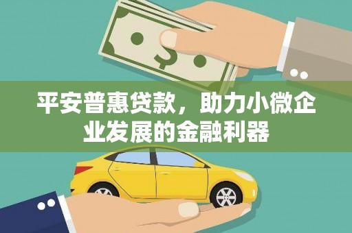安龙平安普惠贷款，助力小微企业发展的金融利器