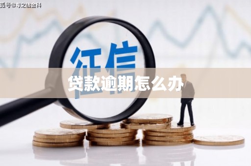 安龙贷款逾期怎么办