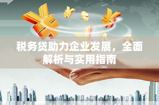 安龙税务贷助力企业发展，全面解析与实用指南