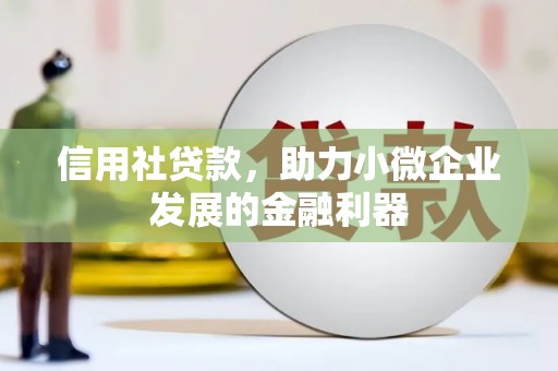安龙信用社贷款，助力小微企业发展的金融利器