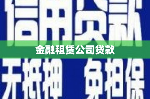 安龙金融租赁公司贷款