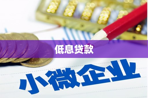 安龙低息贷款