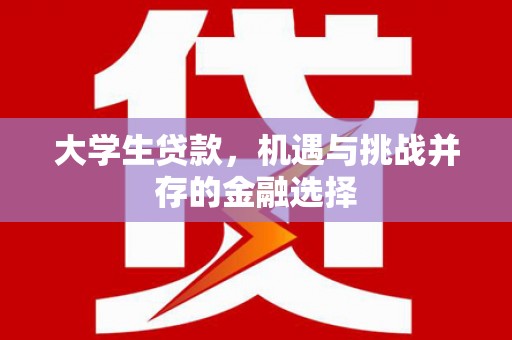 安龙大学生贷款，机遇与挑战并存的金融选择