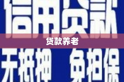 安龙贷款养老