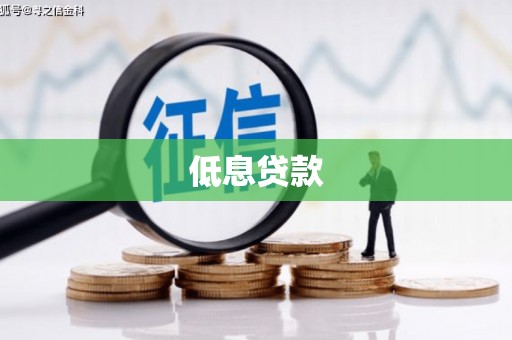 安龙低息贷款