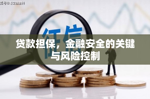 安龙贷款担保，金融安全的关键与风险控制