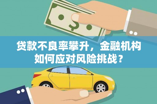 安龙贷款不良率攀升，金融机构如何应对风险挑战？
