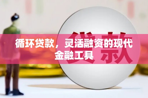 安龙循环贷款，灵活融资的现代金融工具