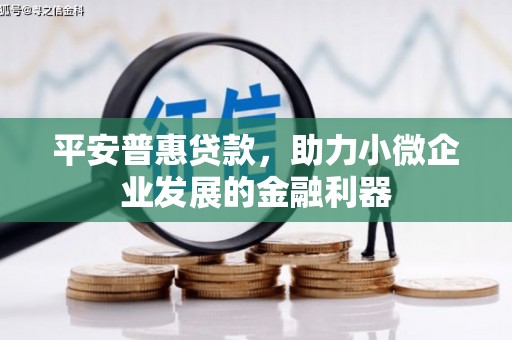 安龙平安普惠贷款，助力小微企业发展的金融利器