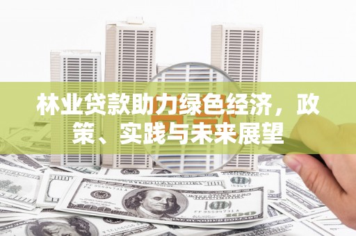 安龙林业贷款助力绿色经济，政策、实践与未来展望