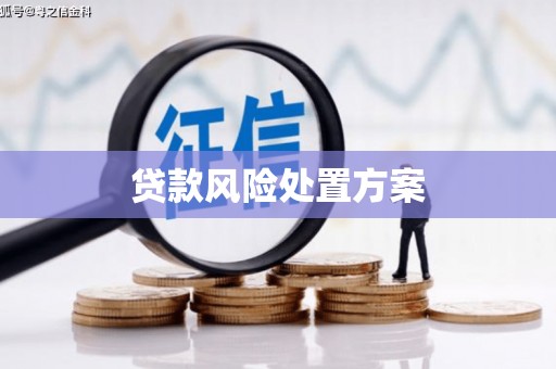 安龙贷款风险处置方案