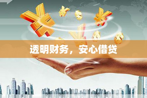 安龙透明财务，安心借贷