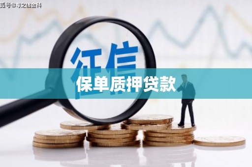 安龙保单质押贷款