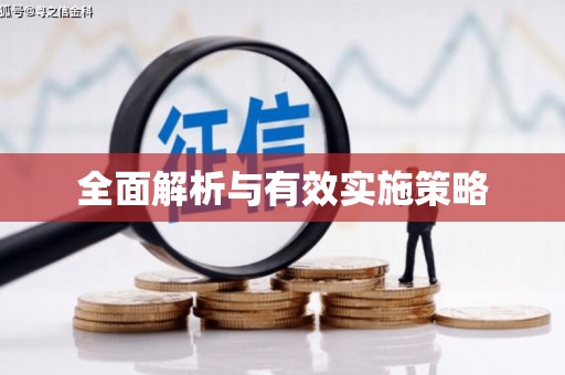 安龙全面解析与有效实施策略